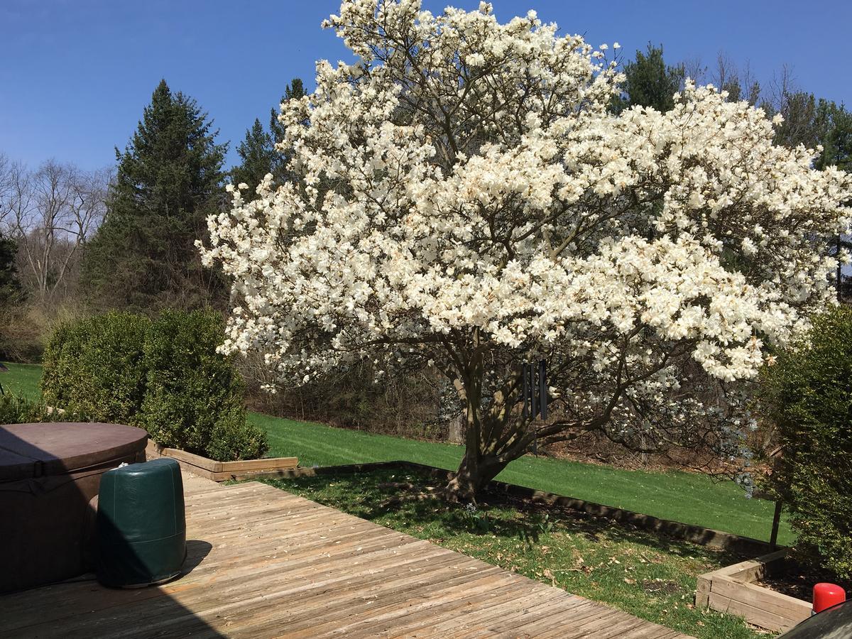 Huron River Guest House 앤아버 외부 사진
