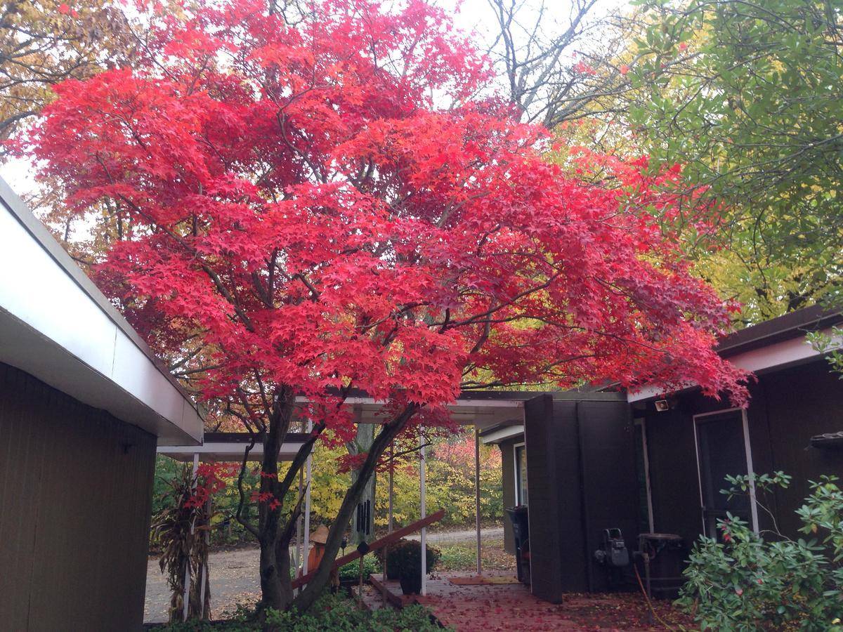 Huron River Guest House 앤아버 외부 사진